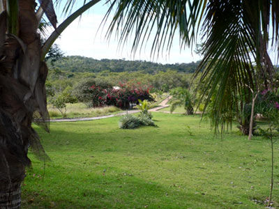 Hotel Fazenda Do Bertione Miranda Eksteriør bilde